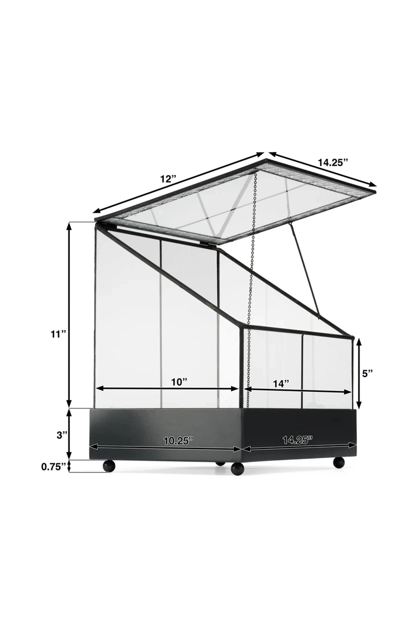 Glass Terrarium Planter Wardian Case