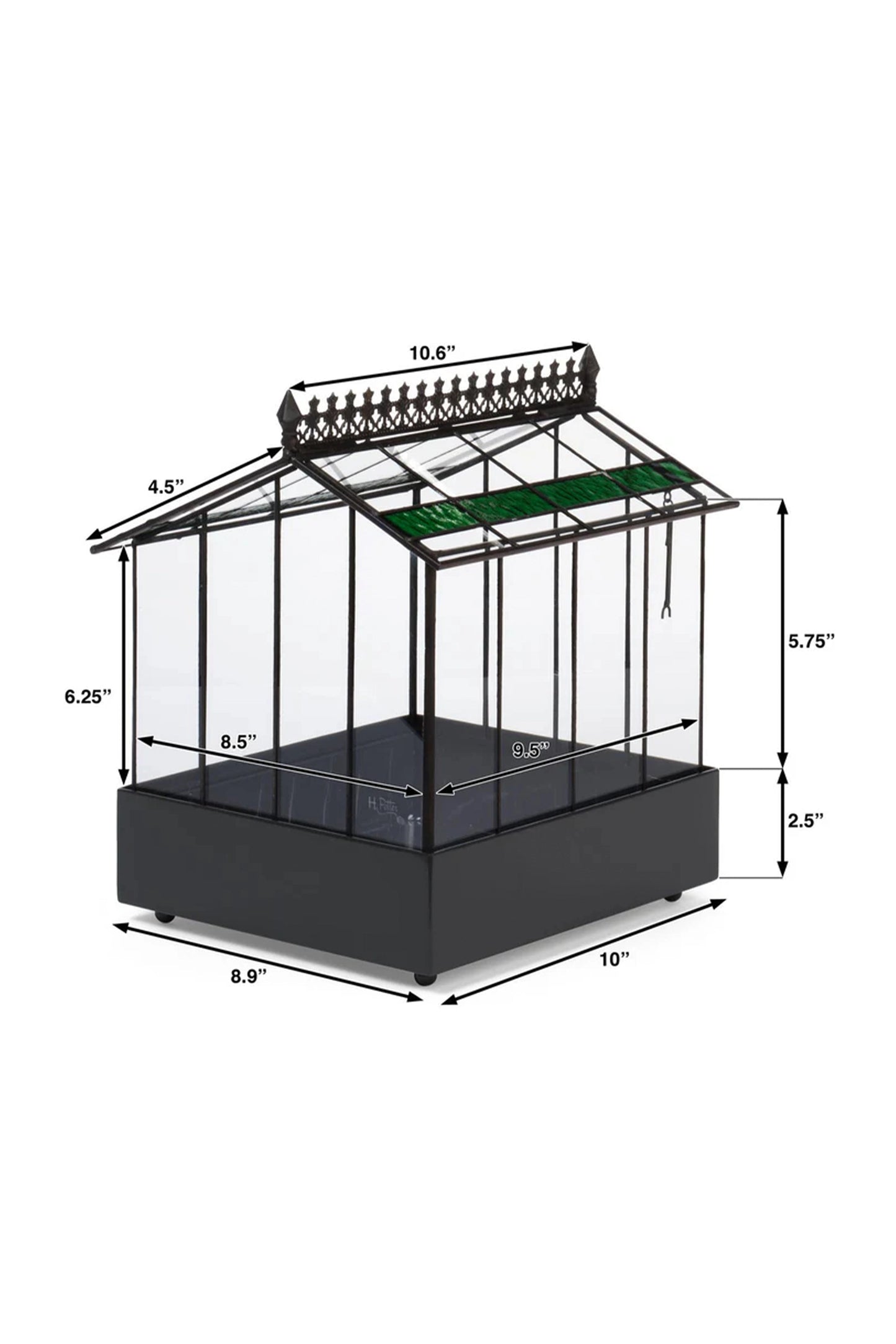Elegant Glass Wardian Case Terrarium Planter