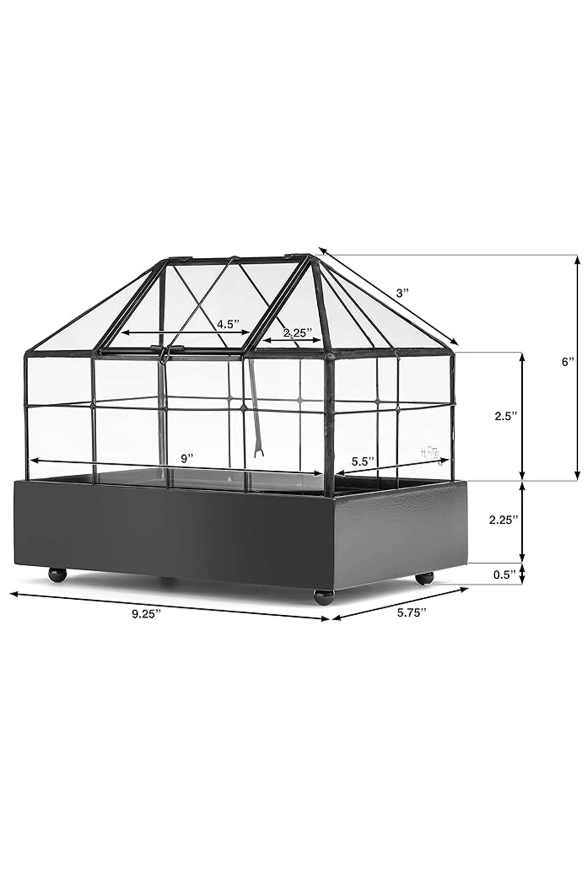 Elegant Glass Wardian Case Terrarium planter for indoor succulents and small plants