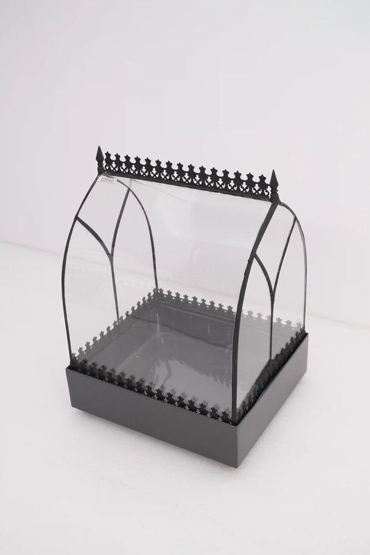 A clear glass Wardian Case terrarium with a black metal frame and decorative edge.