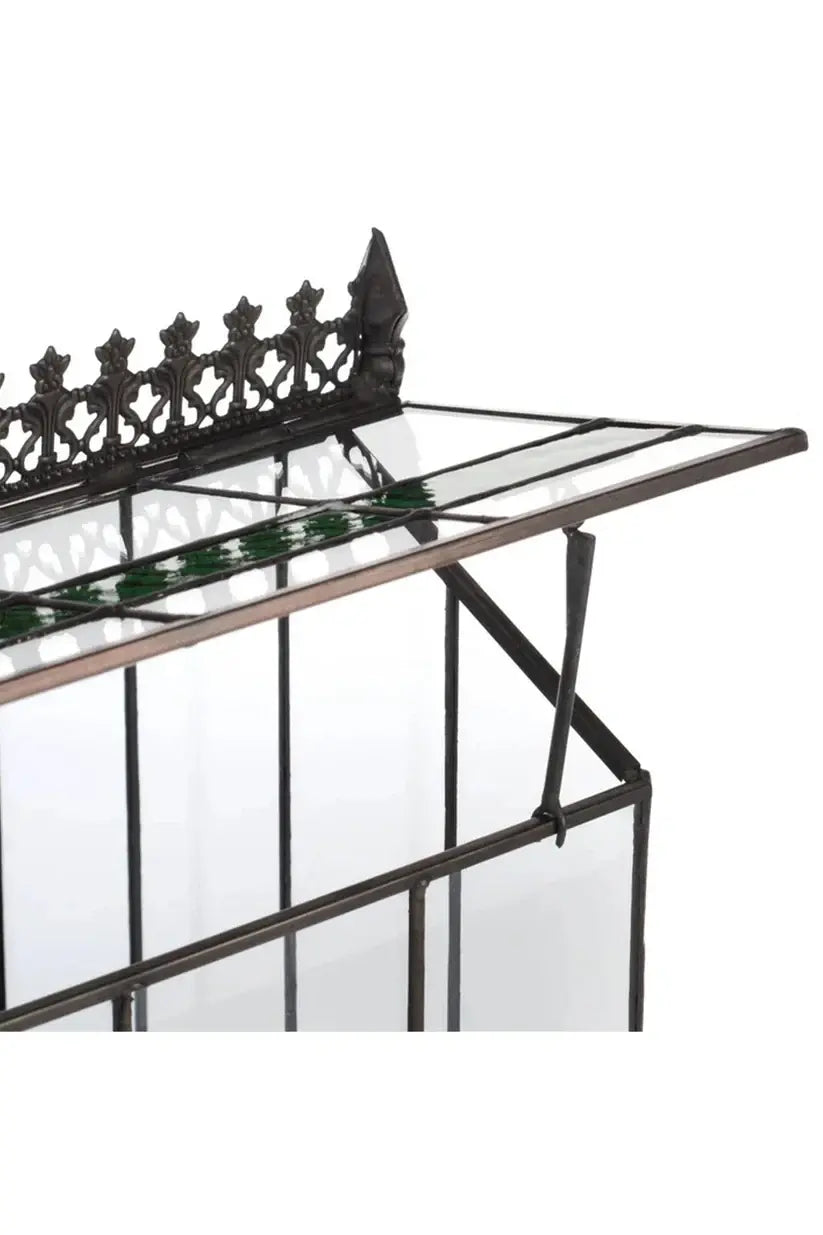 Glass Wardian Case Terrarium Planter b