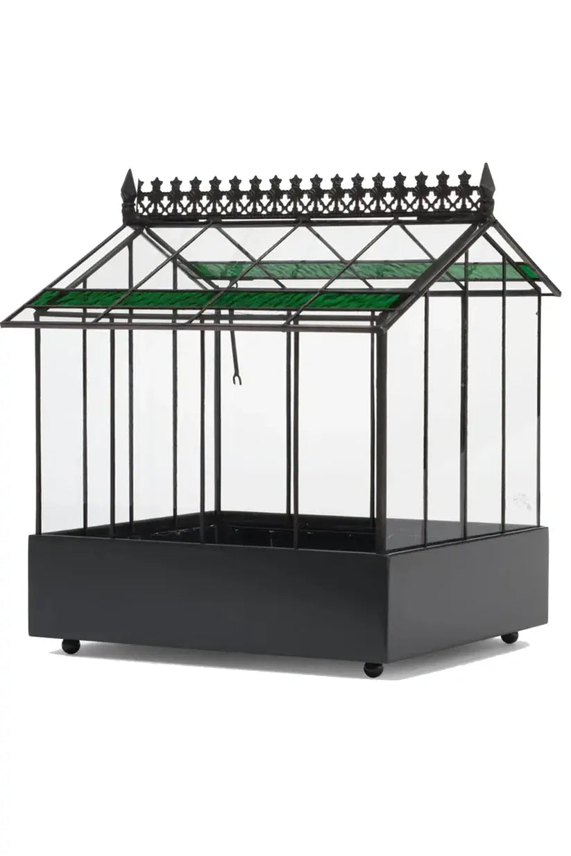 Glass Wardian Case Terrarium Planter d