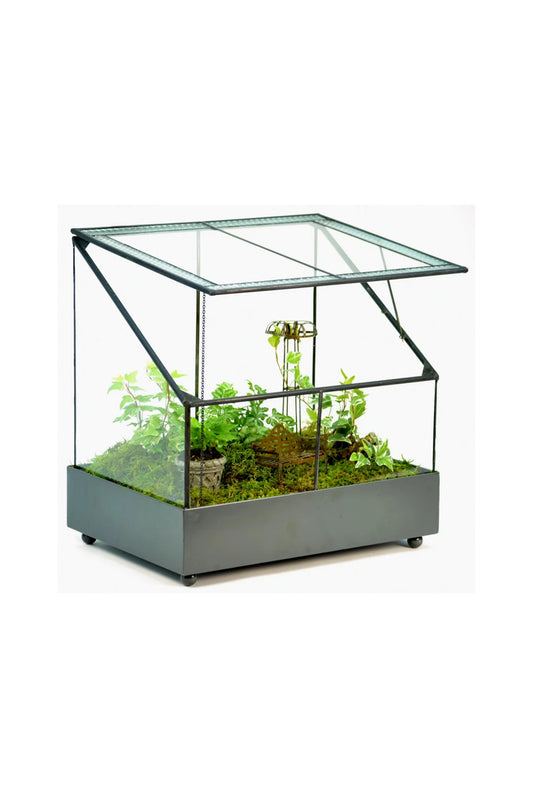 Glass Terrarium Planter Wardian Case
