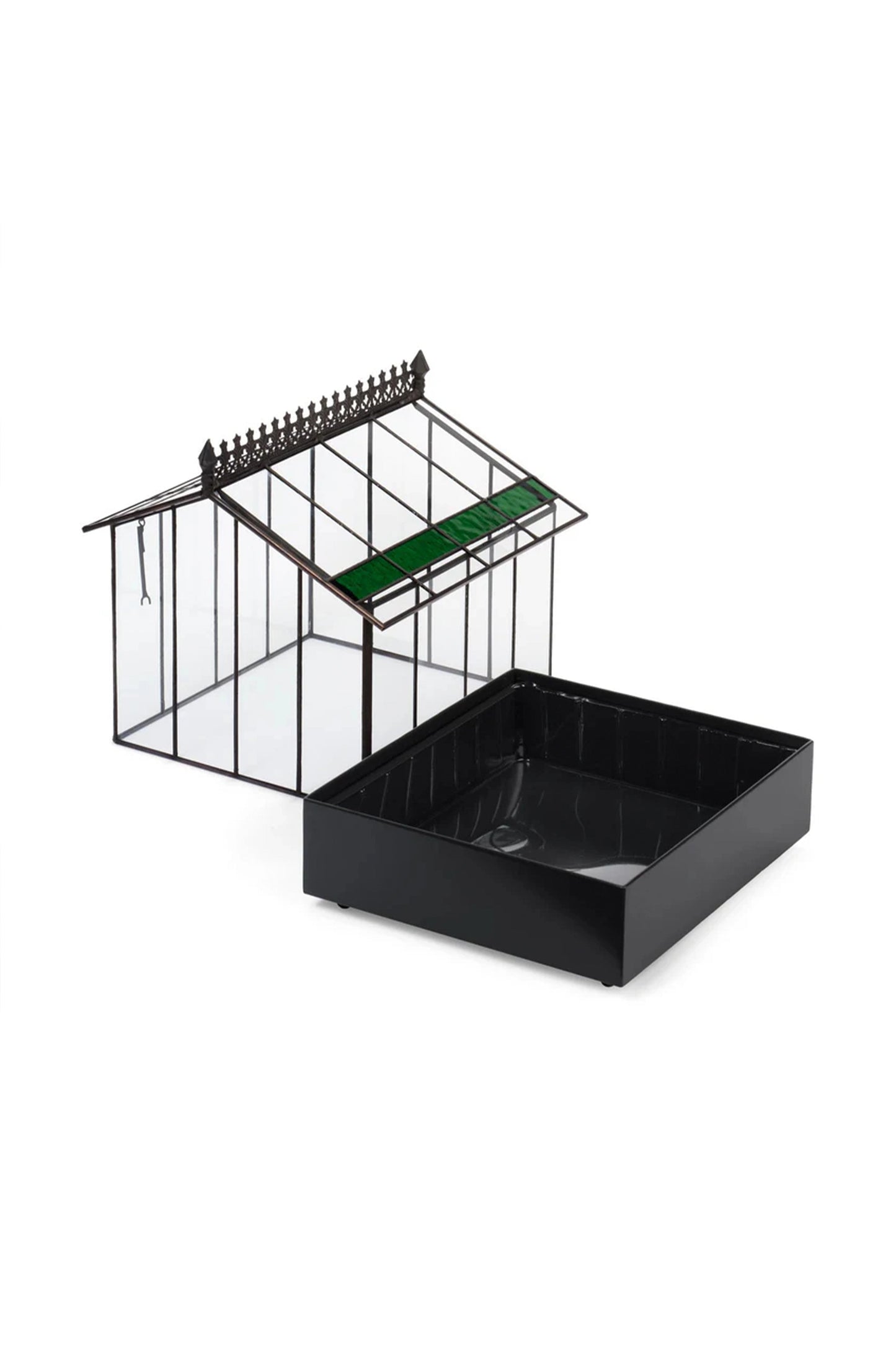 Elegant Glass Wardian Case Terrarium Planter