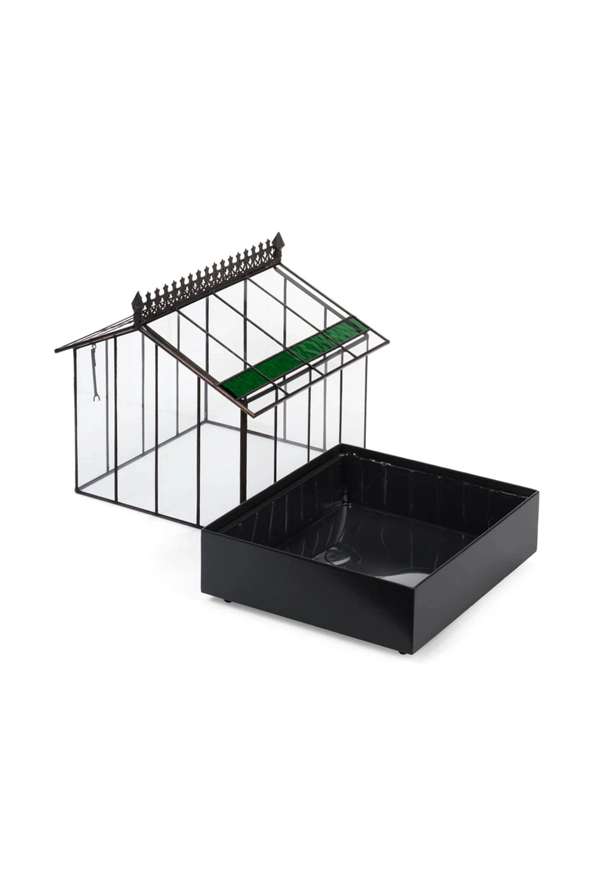 Elegant Glass Wardian Case Terrarium Planter