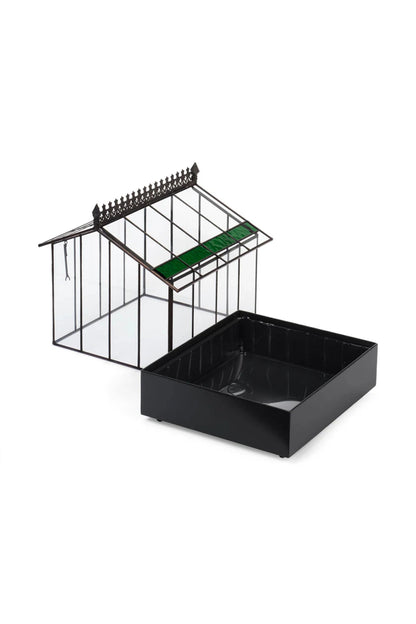 Elegant Glass Wardian Case Terrarium Planter