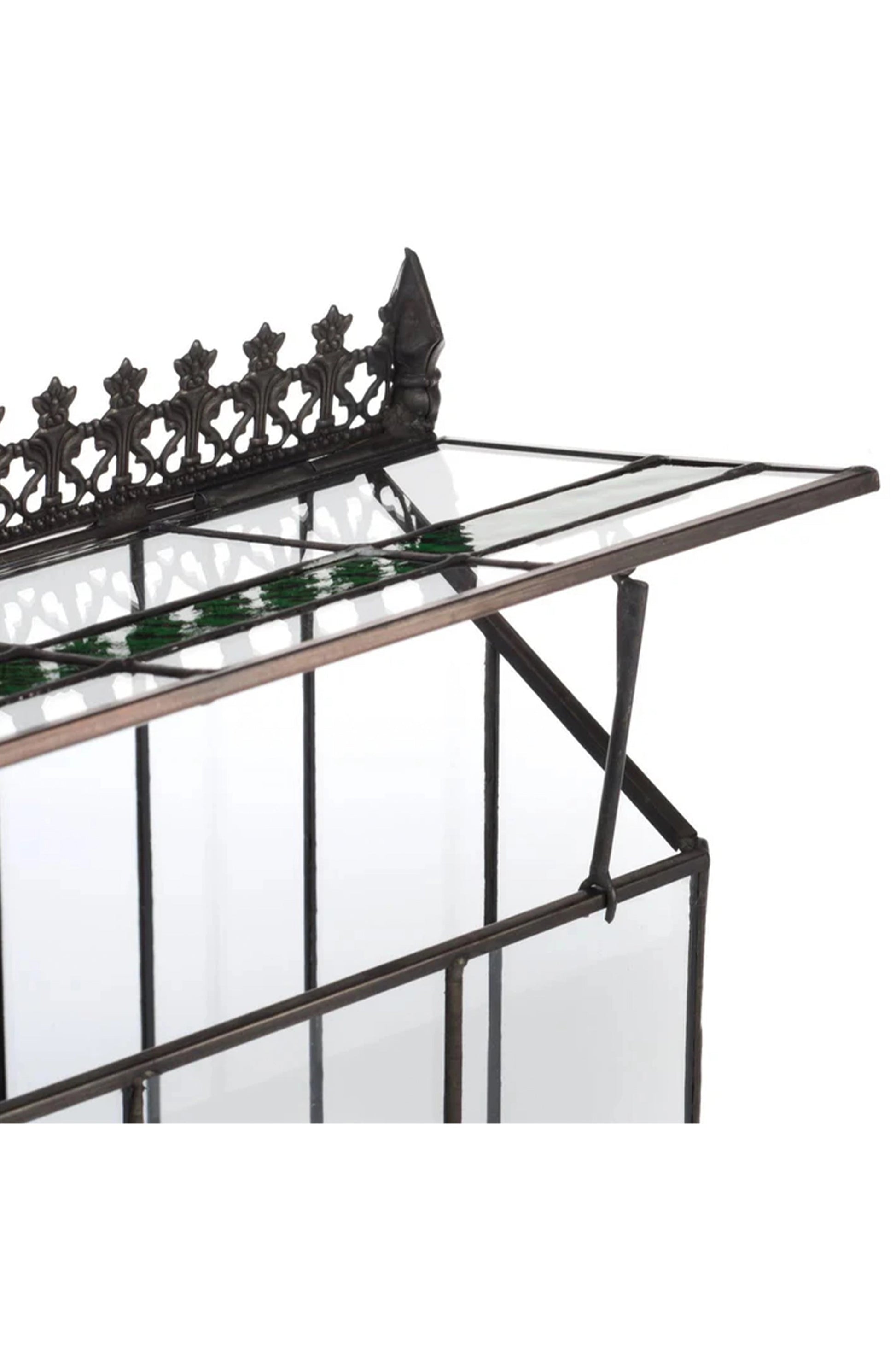Elegant Glass Wardian Case Terrarium Planter