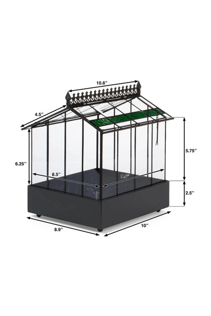 Elegant Glass Wardian Case Terrarium Planter