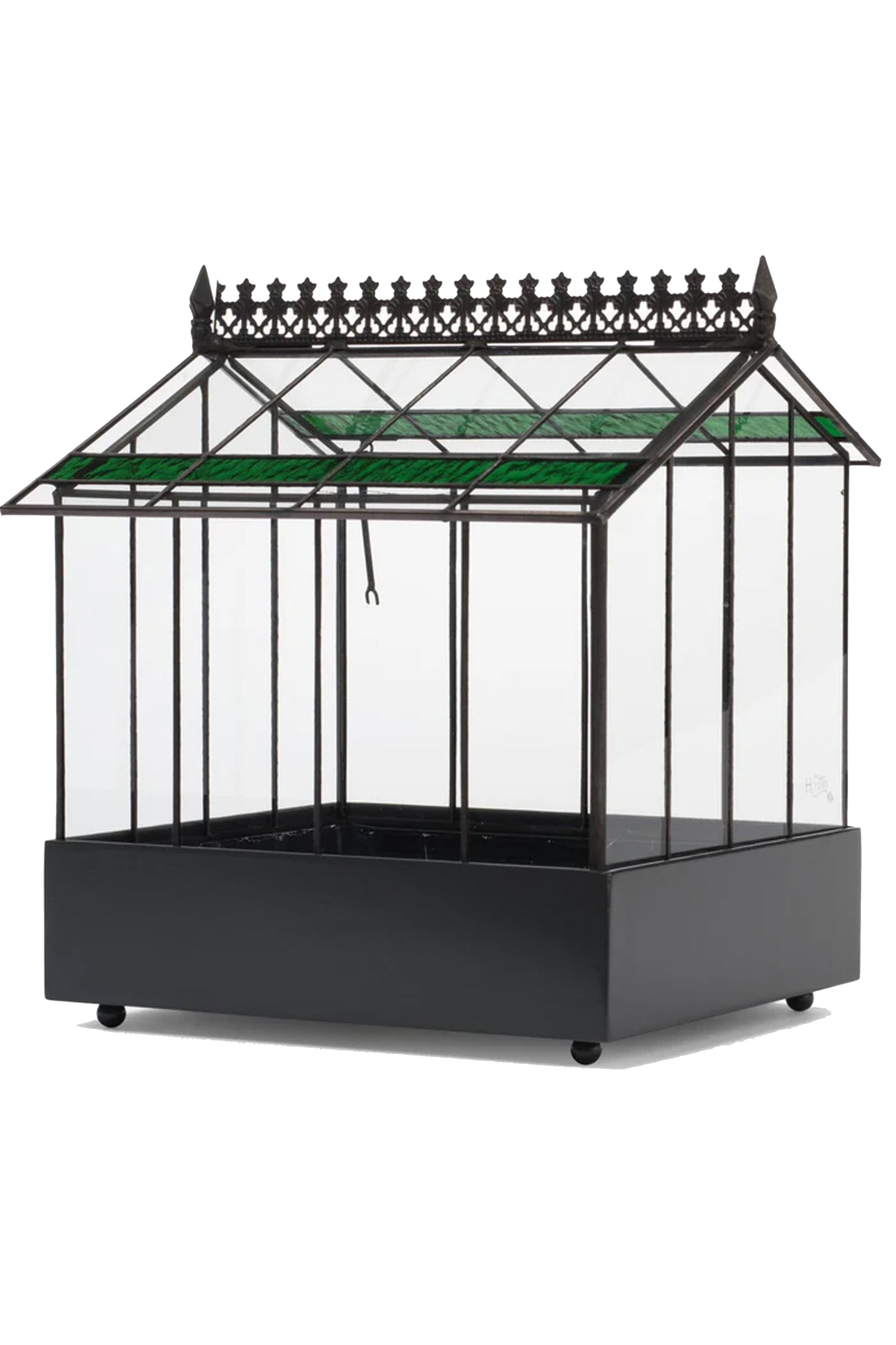 Elegant Glass Wardian Case Terrarium Planter