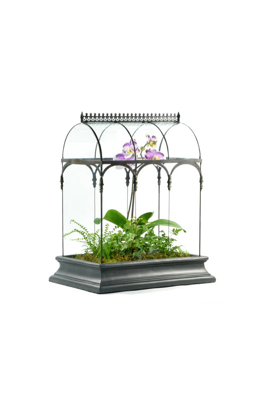 Glass Terrarium Wardian Case Plant container Indoor Planter for Succulents - ILLUMEATerrarium Planter