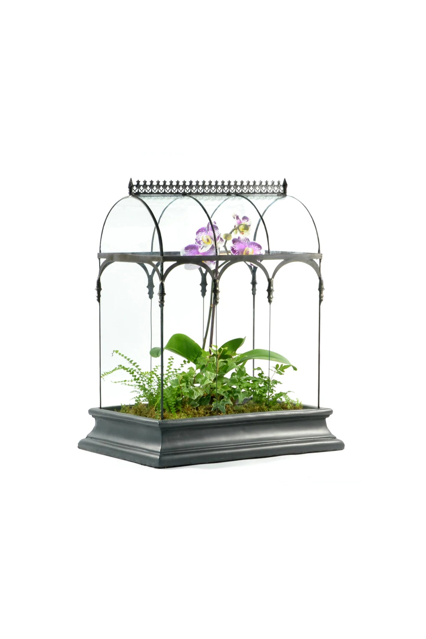 Glass Terrarium Wardian Case