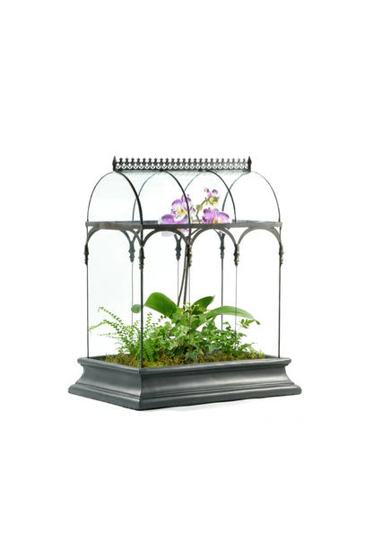 Glass Terrarium Wardian Case