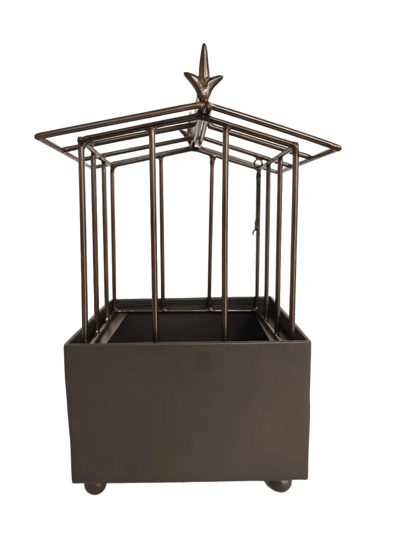 Illumea Mini Terrarium – Black Powder Coated Iron Decor - ILLUMEATerrarium Planter