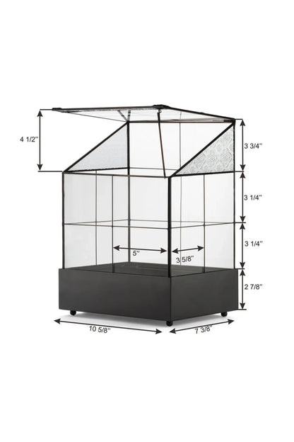 Modern Glass Terrarium Wardian Case Houseplant Container for Indoor Succulent Display - ILLUMEATerrarium Planter