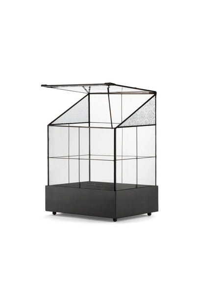 Modern Glass Terrarium Wardian Case Houseplant Container for Indoor Succulent Display - ILLUMEATerrarium Planter