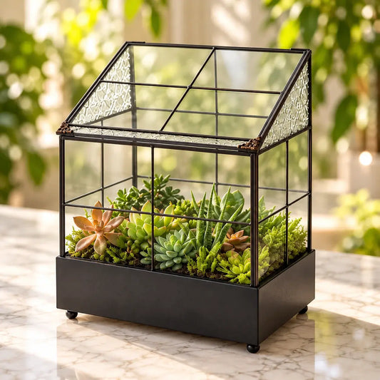 Terrarium Houseplant Container – ILLUMEA