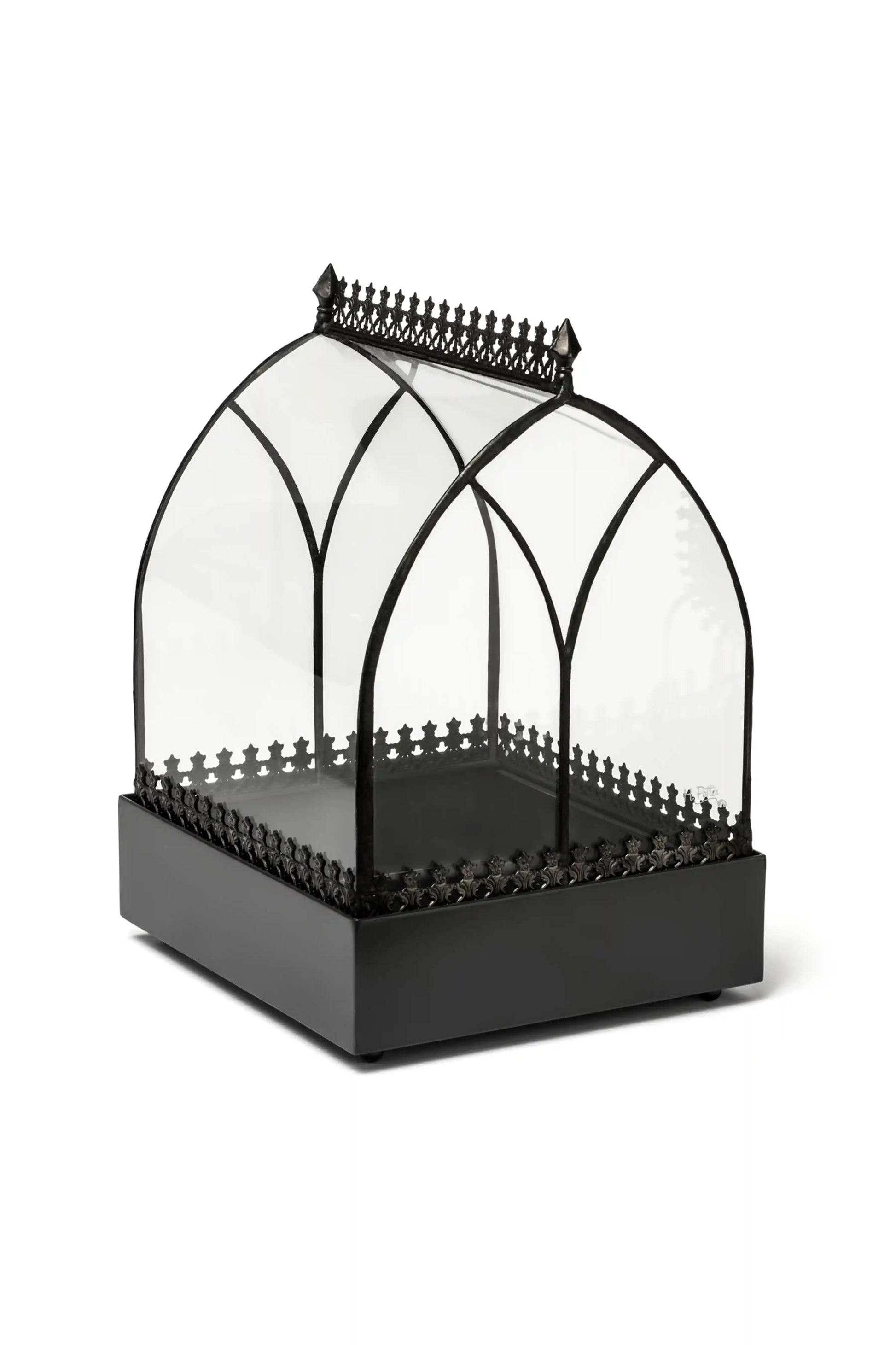 Wardian Case Curved Glass Terrarium - ILLUMEATerrarium Planter