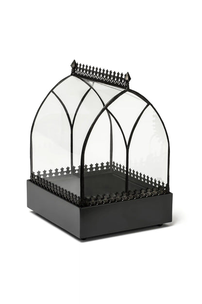 Wardian Case Curved Glass Terrarium - ILLUMEATerrarium Planter