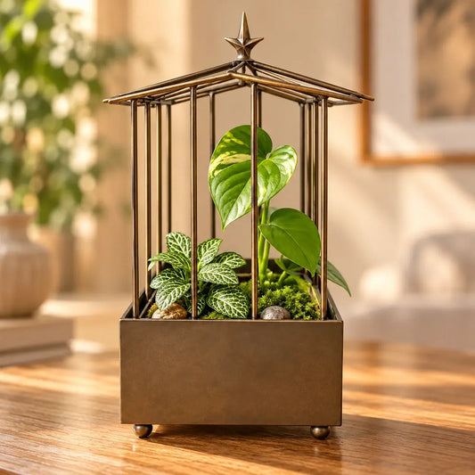 Mini Plant Green house Terrarium - ILLUMEA